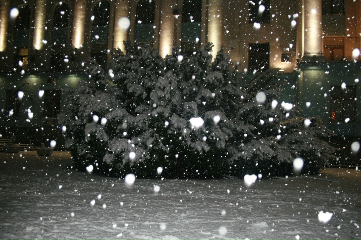 Марианна Казанцева | Севастополь