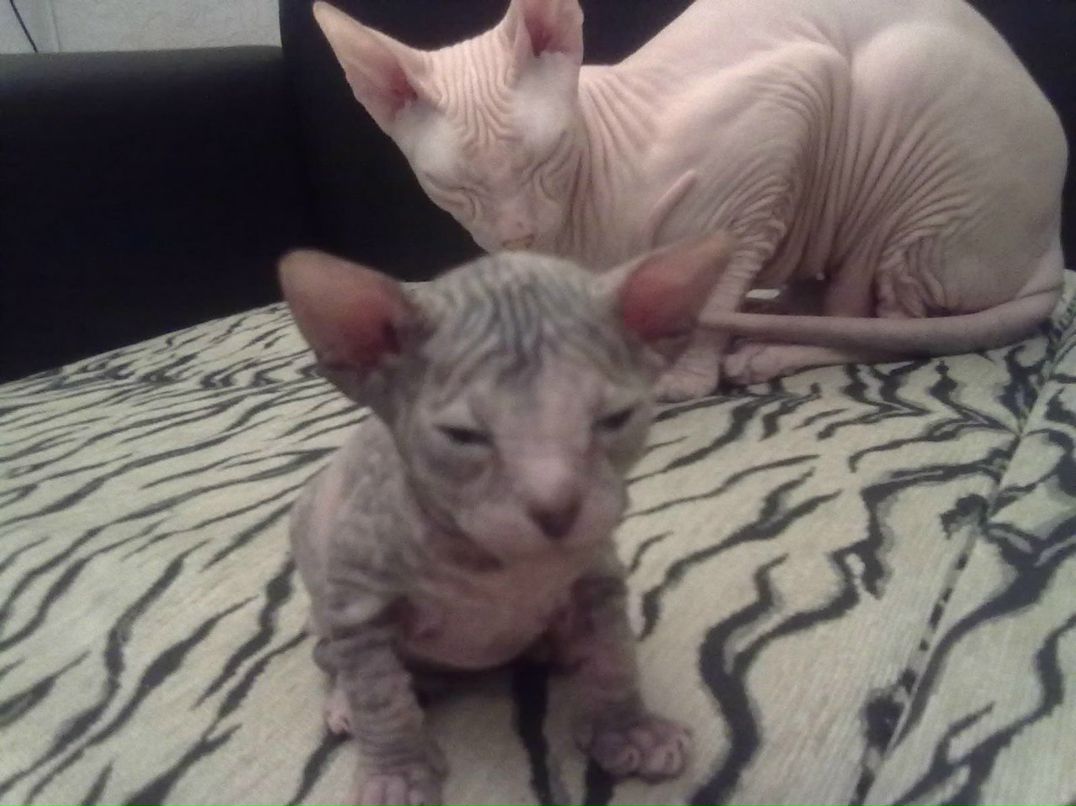 Алла Корчагина | Магнитогорск