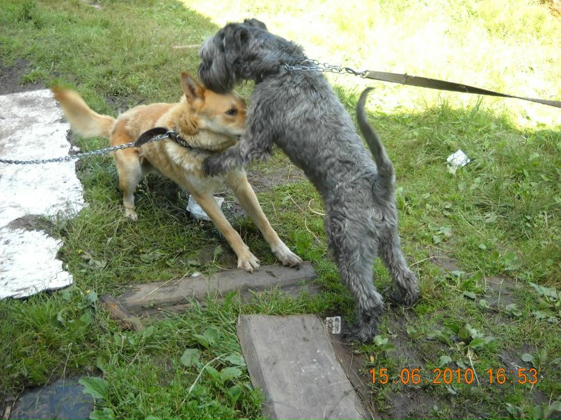 Татьяна Казанцева | Санкт-Петербург