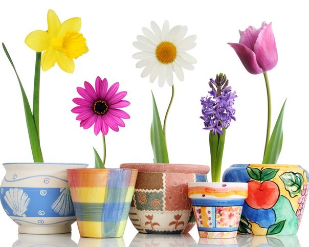 Илона Семенко | Запорожье