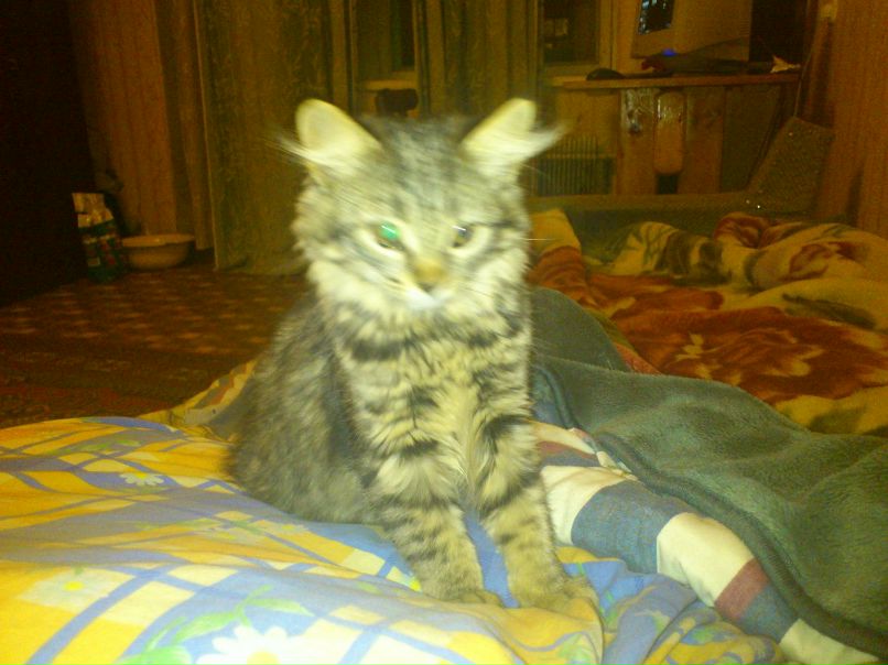 Blur Frontier Hostile | Berlin