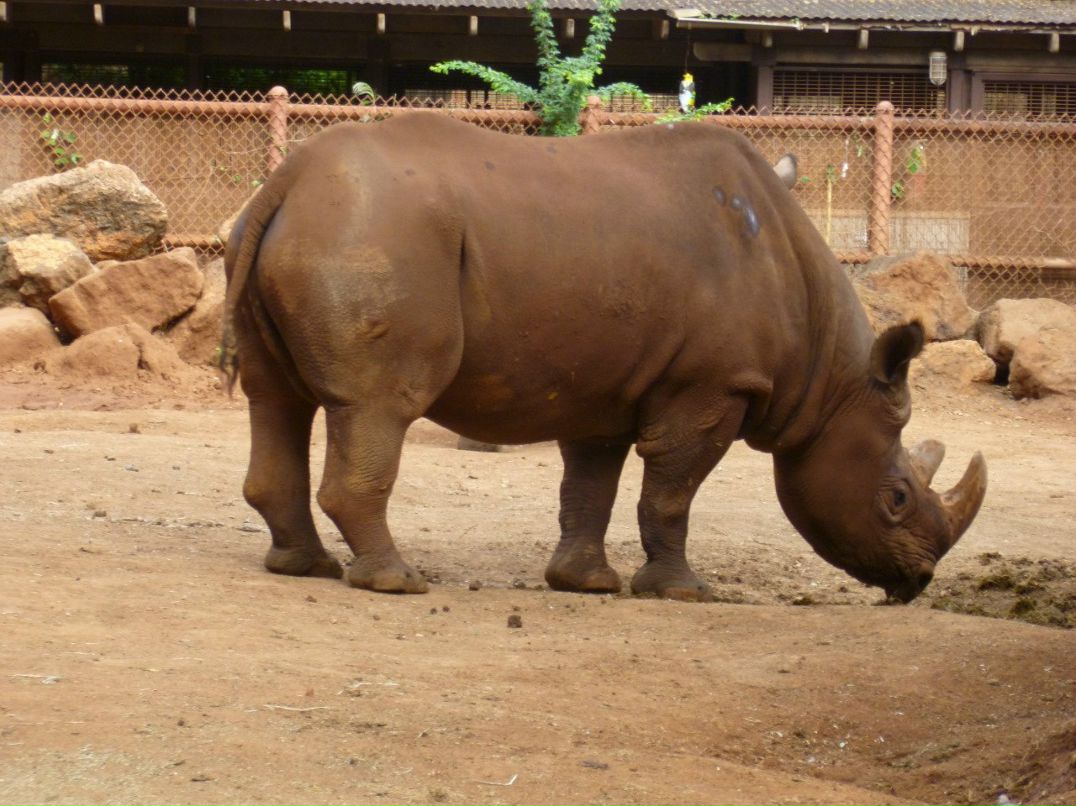 Лариса Федорова | New York City