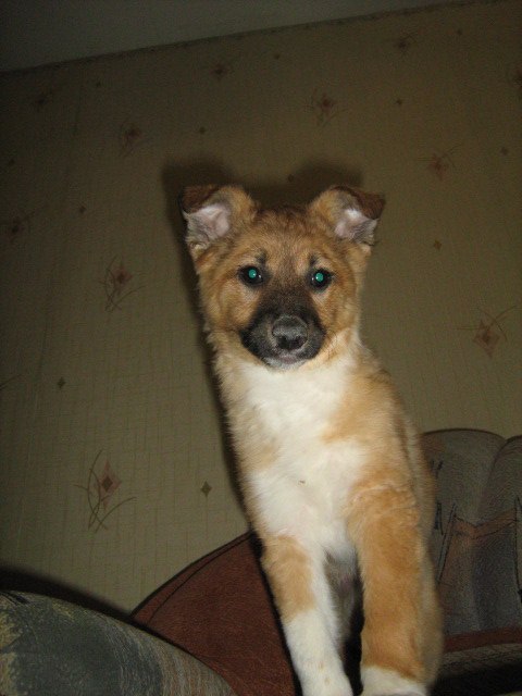 Данила Иваков Shilonk | Нижний Тагил