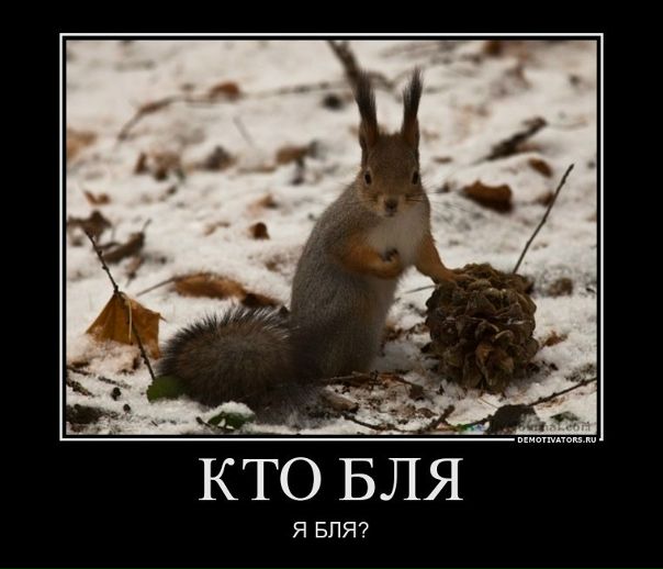 №11, Ирина Багаева №11, Ирина Багаева