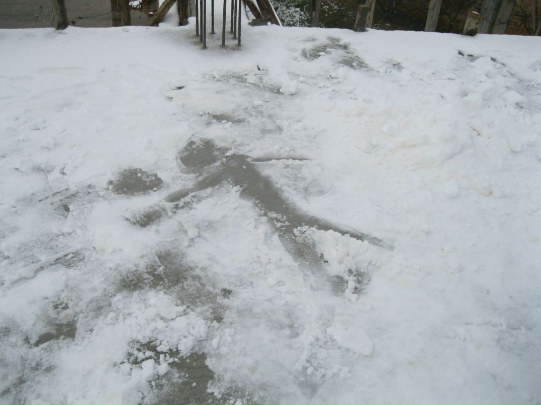 Алина Кирьянова | 