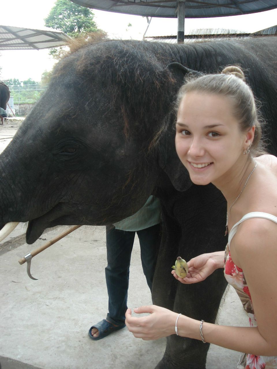 Екатерина Петрица ♥ | Новосибирск