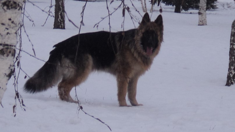 Евгения Дёмина | Белгород