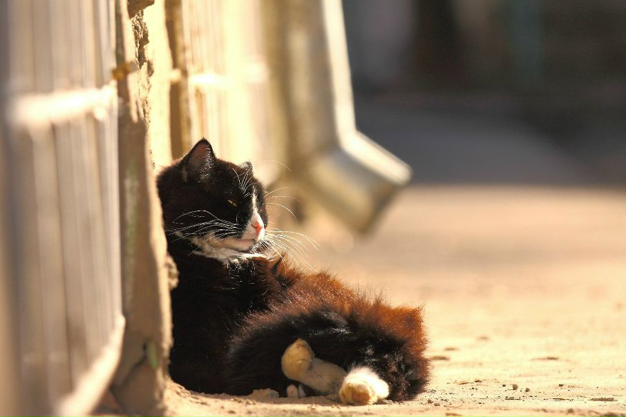 №3, Геннадий Шевченко, Харьков №3, Геннадий Шевченко, Харьков