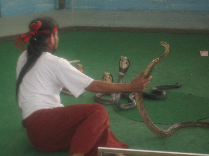 Алексей Маракин | Белгород