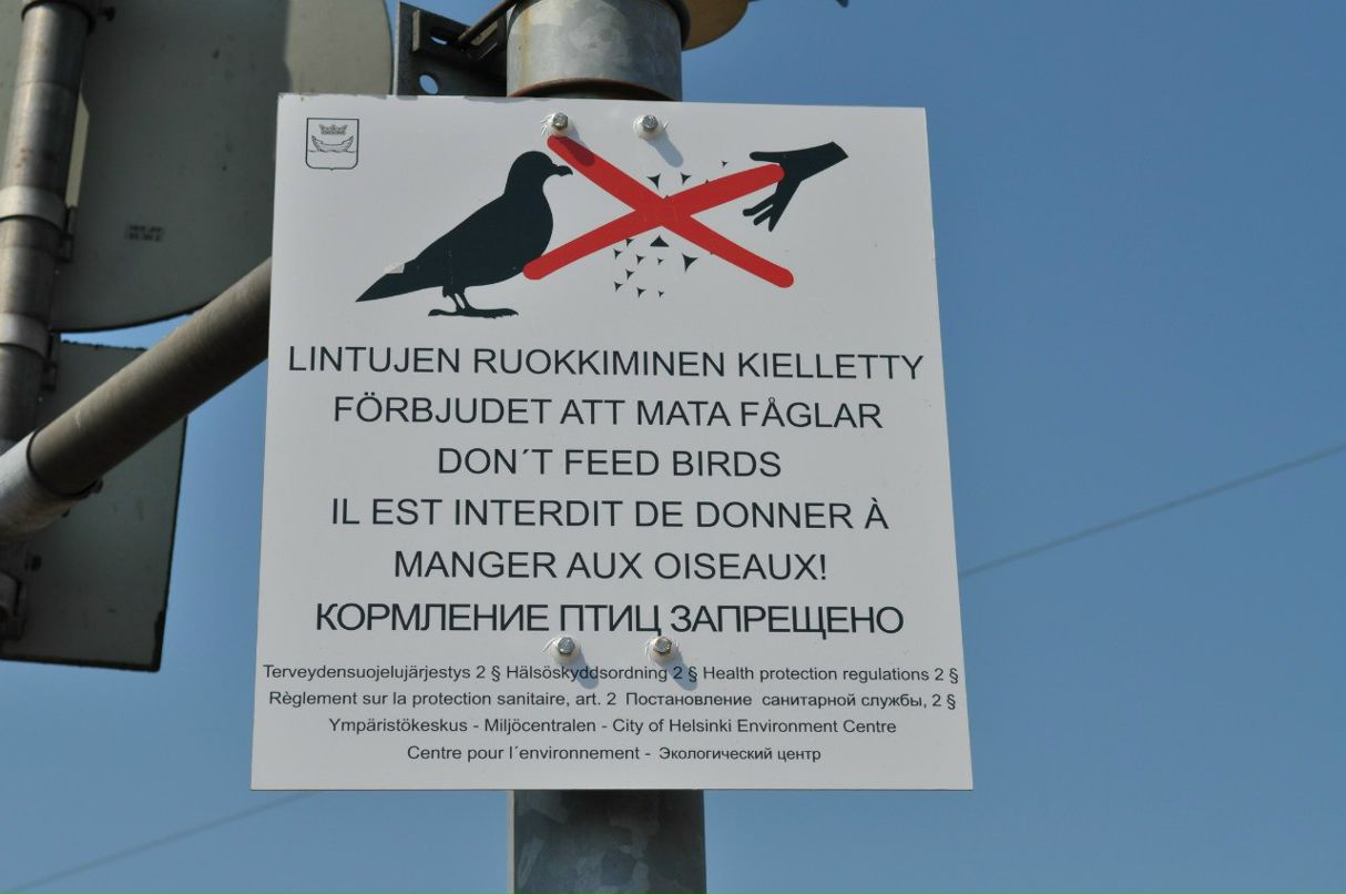 Надежда Соломатина-Семенова | Королёв