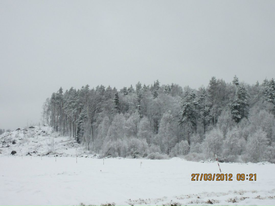 Сергей Блошенков | Санкт-Петербург