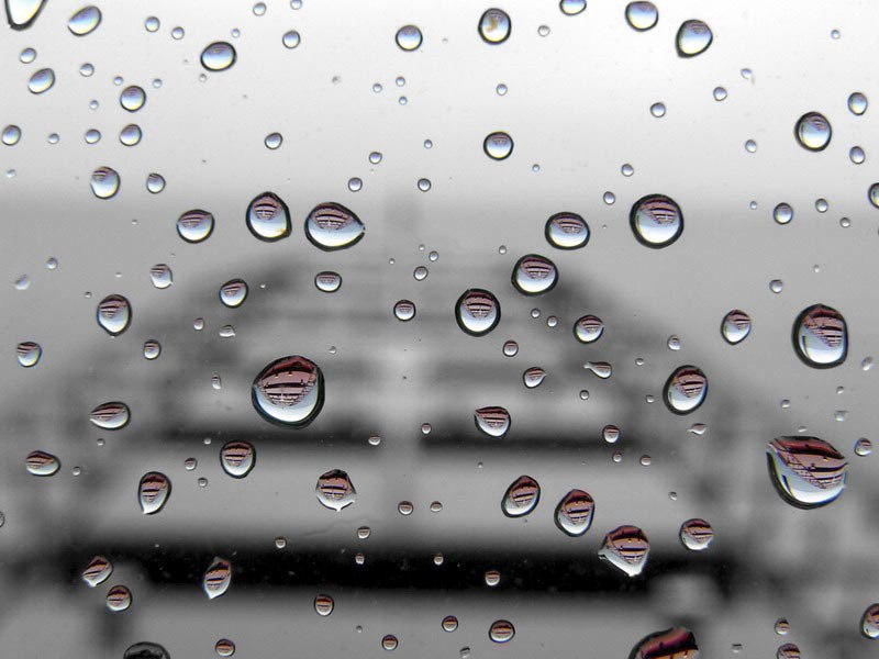 Людмилка Пастухова | Житомир