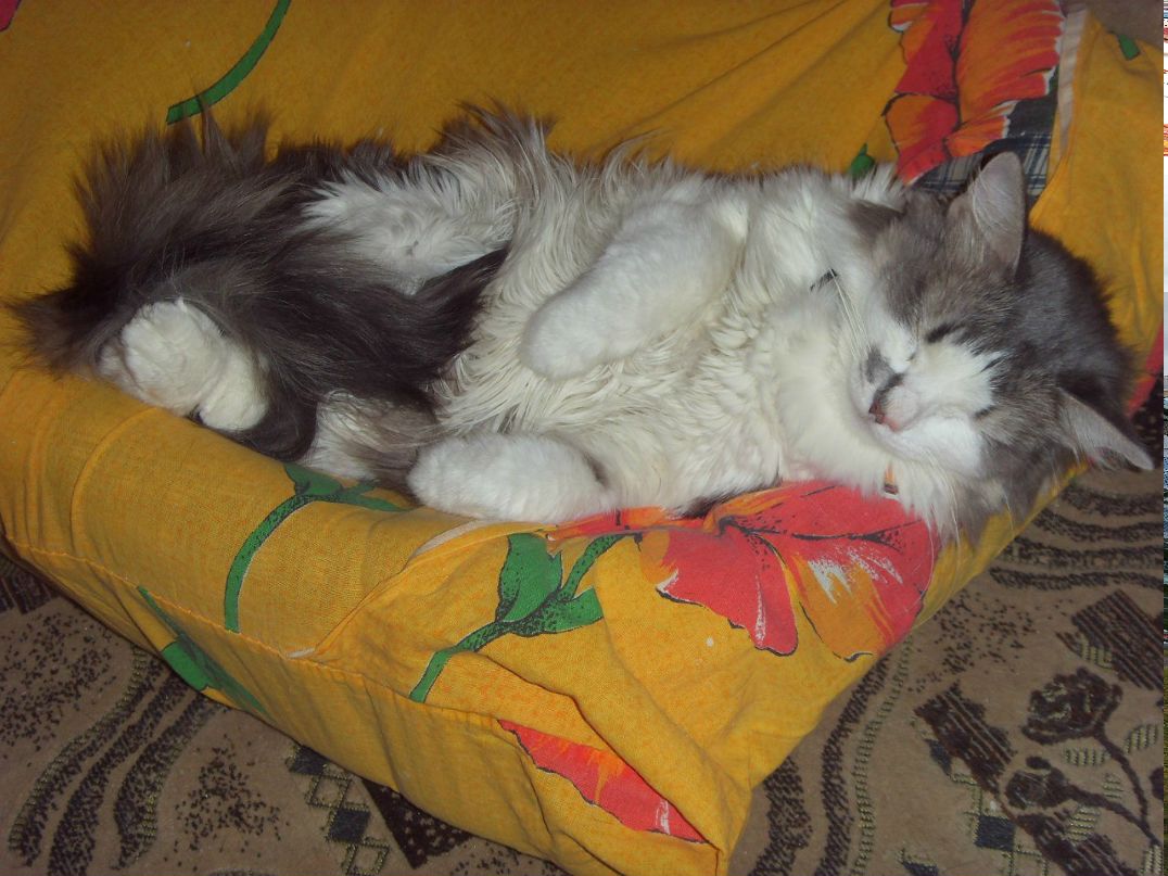 Алексей Правдолюбов | Петрозаводск