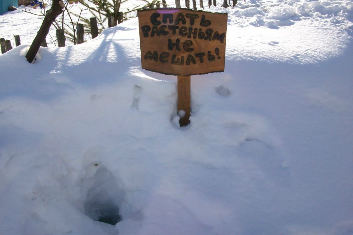 Светик Голицына *Squirrel* | Харьков