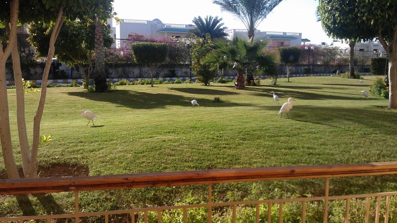 Леська Зинченко | Харьков