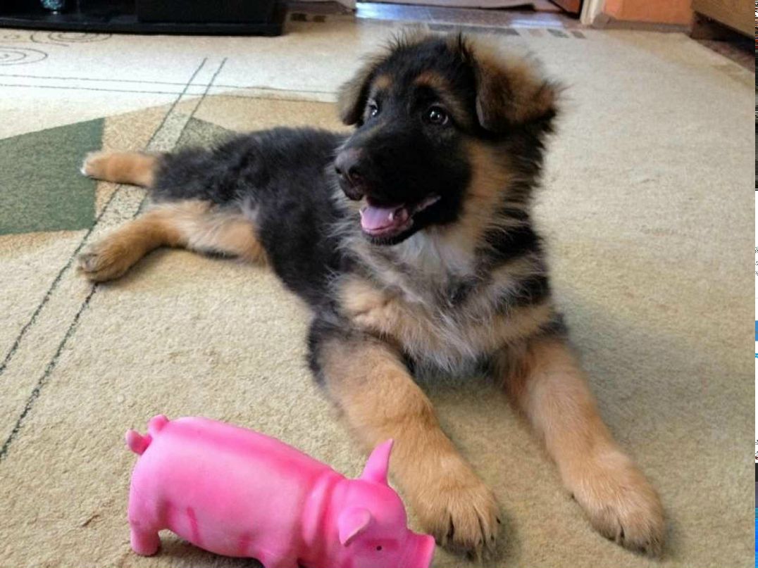 Екатерина Болдина | Москва