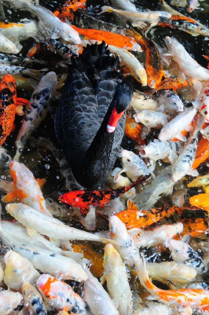 Varvara Sannikova потенциальный гений | Москва