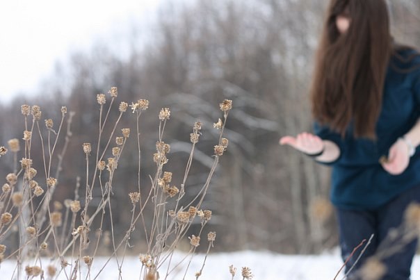 Mariya Komarova [little_wolf] | Казань