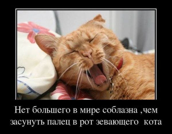 №126, Артём Хайло, Харьков №126, Артём Хайло, Харьков