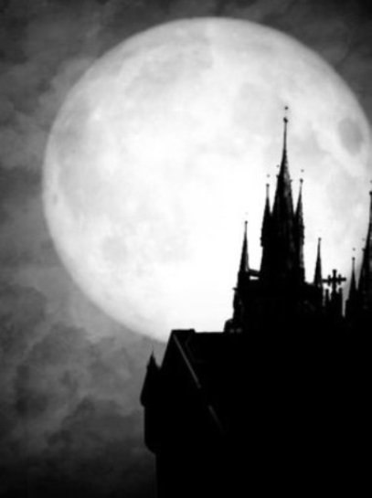 Евгения Хашимова | Светлый