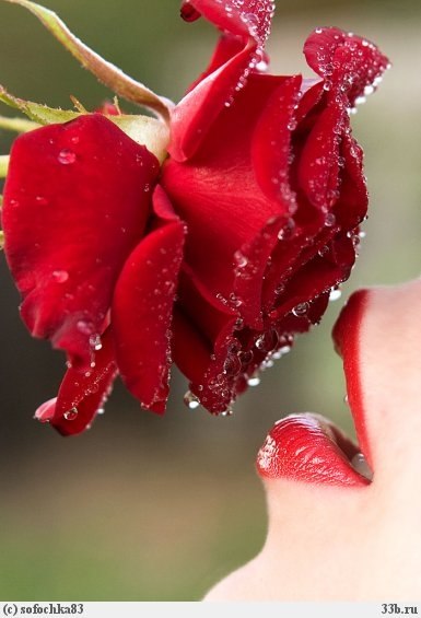 Марина Ананьева | 