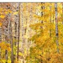 №78, Олег Водинов, Череповец №78, Олег Водинов, Череповец