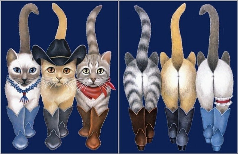 Михаил Гнедько Александрович | Красноярск