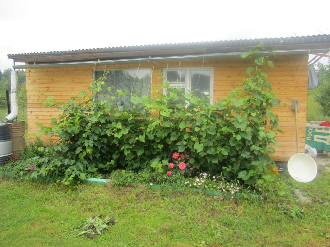 Виктория Николаева | Москва