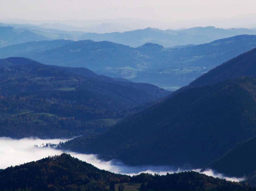 Сергей Симонов | Санкт-Петербург