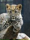 №5 Настя Кошарная : профиль, фото, статус - ВКонтакте