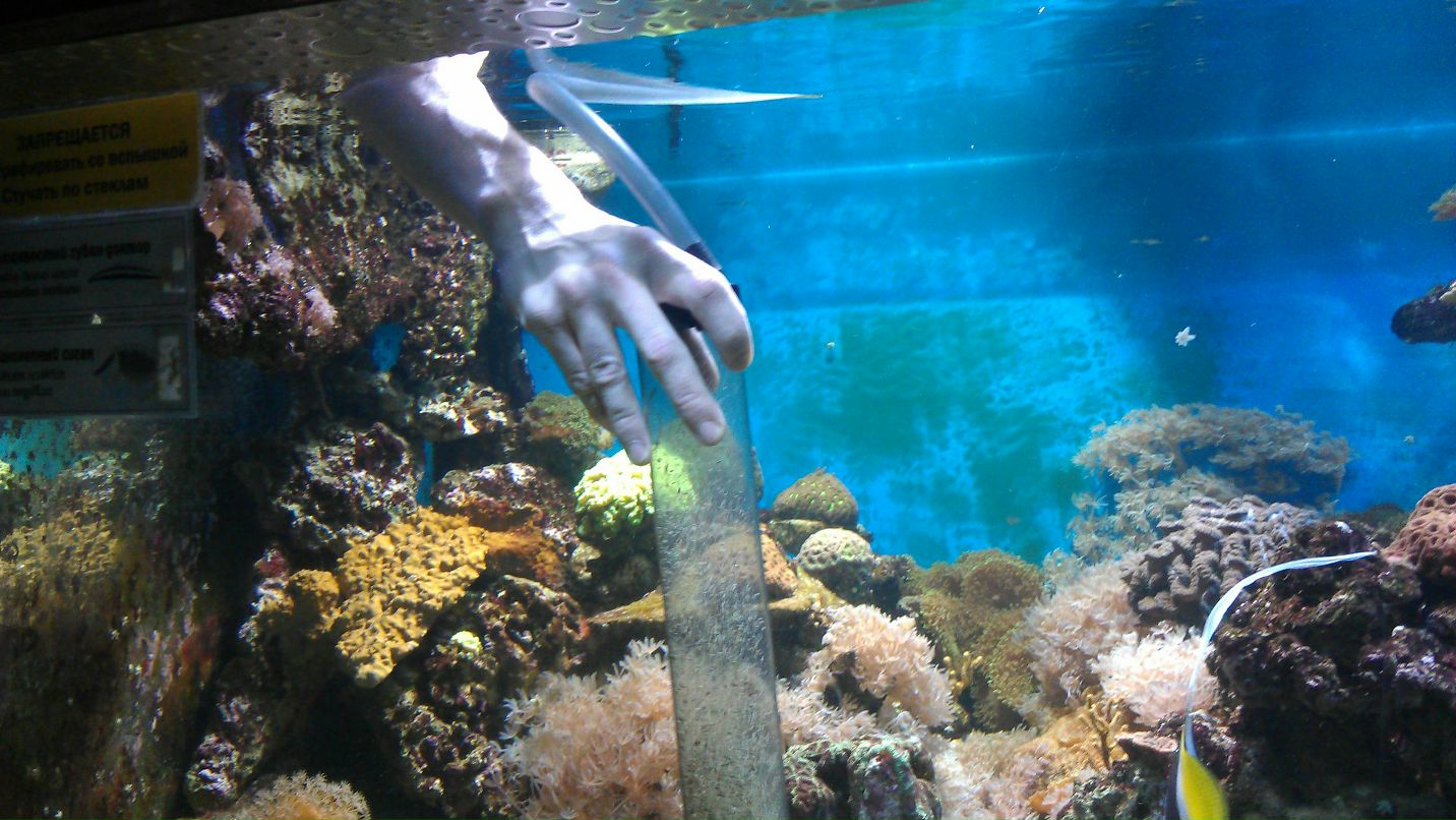 Виталий Новикас | Санкт-Петербург