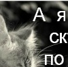 №77, Нютик Остренко, 27.1 №77, Нютик Остренко, 27.1