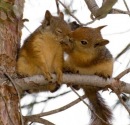 Фотография Поповой Юлии