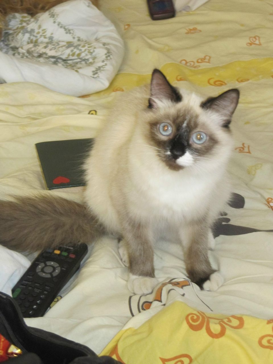 Светлана Приходько ***Smile*** | Москва