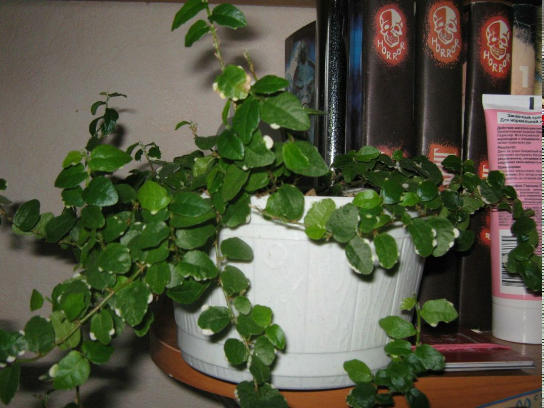 Маргарита Воробьёва | 