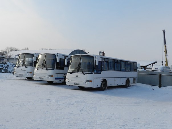 №45, Роман Андрианов, 37 лет, Касимов №45, Роман Андрианов, 37 лет, Касимов
