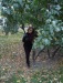 Юля Корнетова фотография #30 (источник - https://vk.com/id4447517)