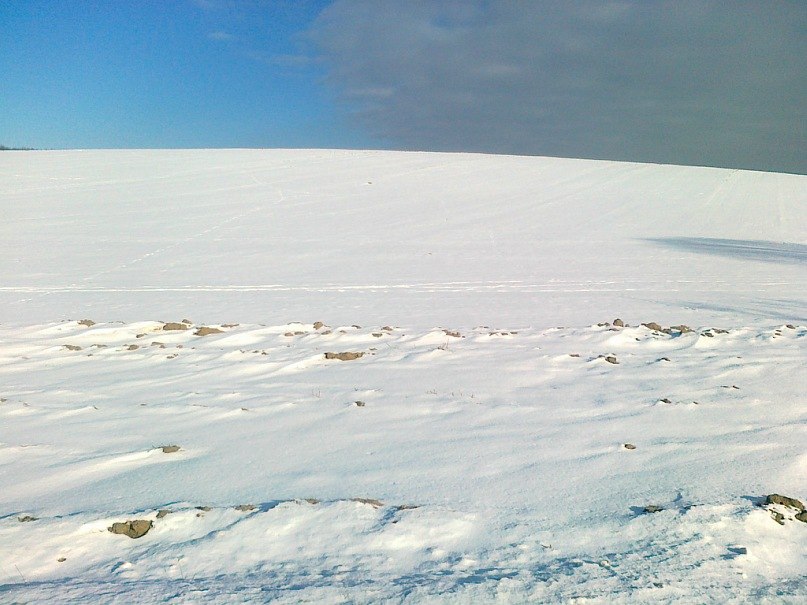 Nikolai Kalamaks | Bremerhaven