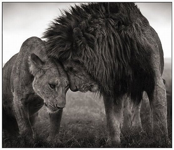 Екатерина Завьялова | Санкт-Петербург