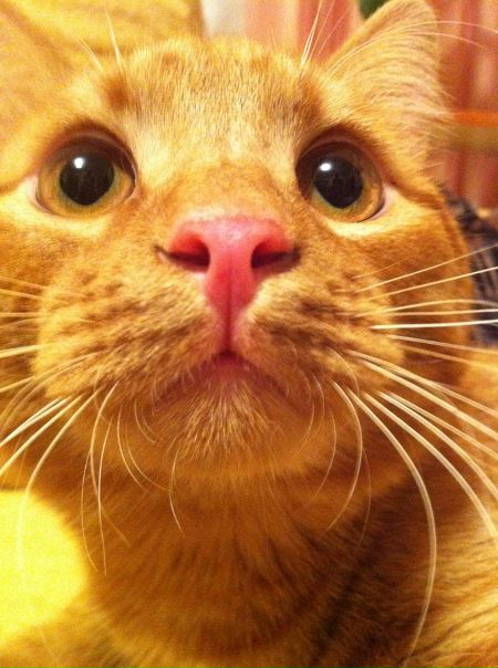 №77, Anya Seeva, Москва №77, Anya Seeva, Москва