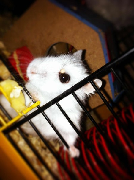 Юрий Иваненков | Москва