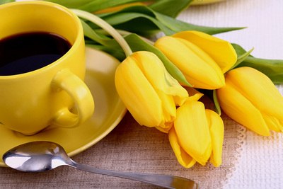 Индира Алиякбарова | 