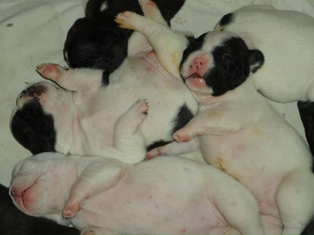 Александр Цап | Харьков