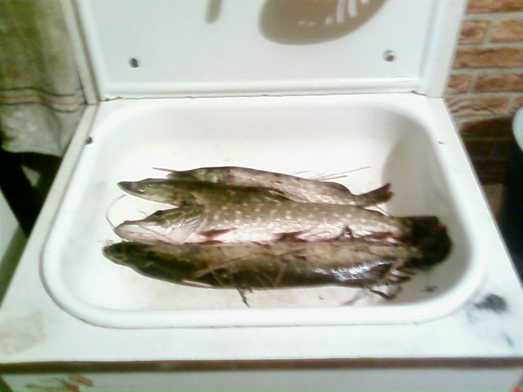 Андрей Шуляк | Киев