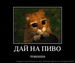 Петя Лысов фотография #24 (источник - https://vk.com/id161886549)