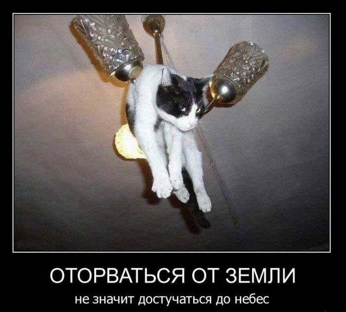 Александр Сальников | 