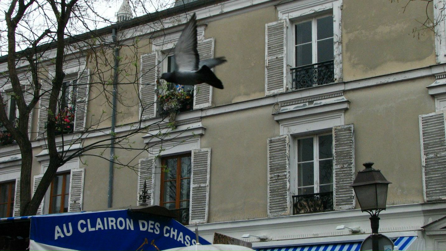 Михаил Сорокин | Санкт-Петербург