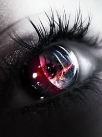 Светлана Шингареева | 