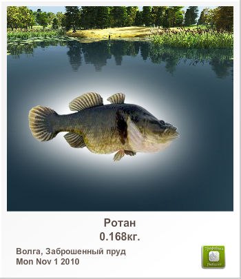 Дмитрий Петухов | Витебск