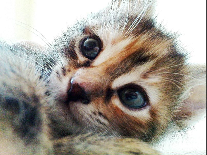 Илья Кутейников | Ростов-на-Дону